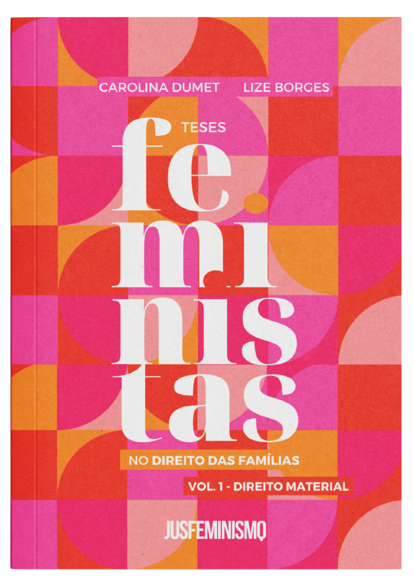 Teses feministas no Direito das Famílias